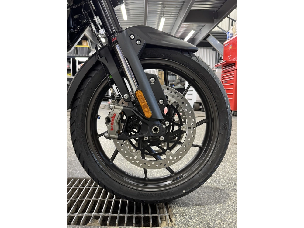 Triumph Tiger 1200 Alpine Ed 2026 alt