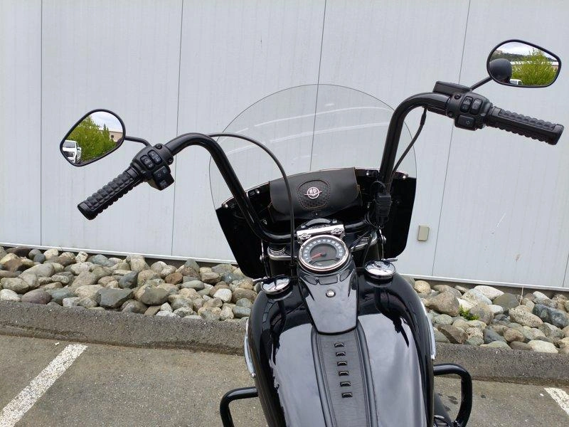 2020 Harley-davidson Flstc - Heritage Softail Classic alt