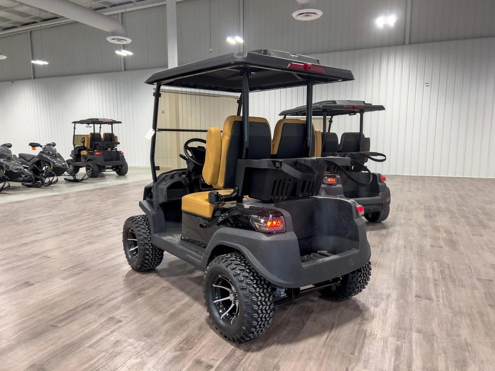 2025 Buzz G2 Lifted alt