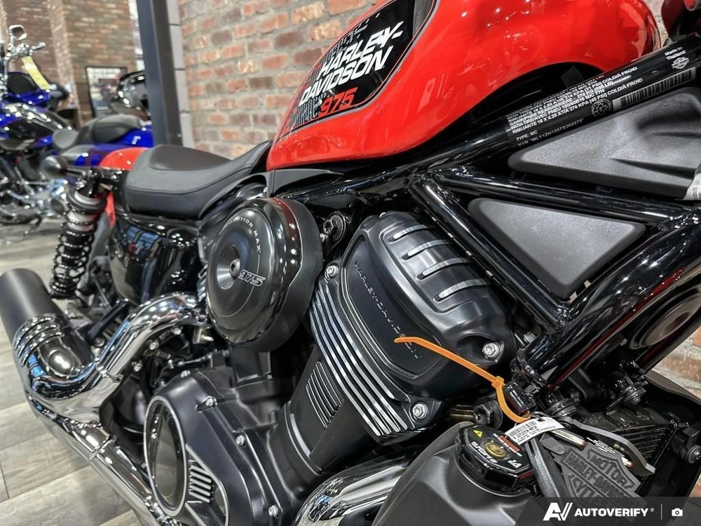 2026 Harley-davidson Nightster alt