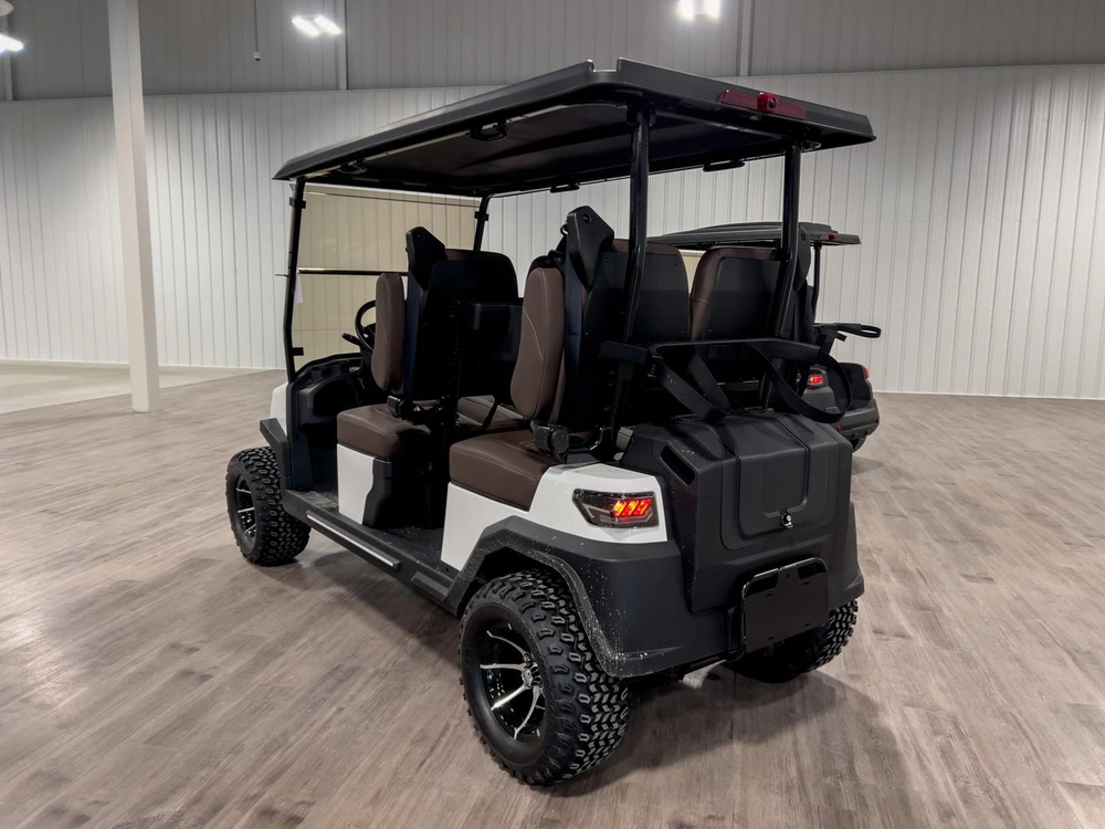 2025 Buzz G4 Lifted alt