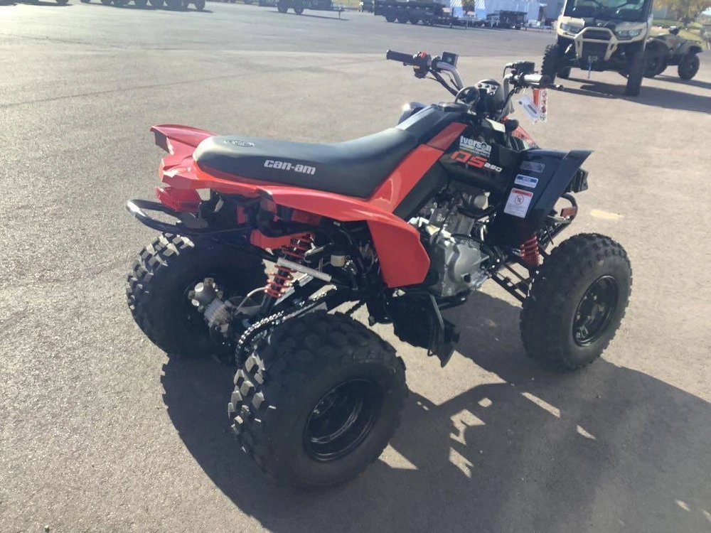2026 Can-am Ds 250 alt