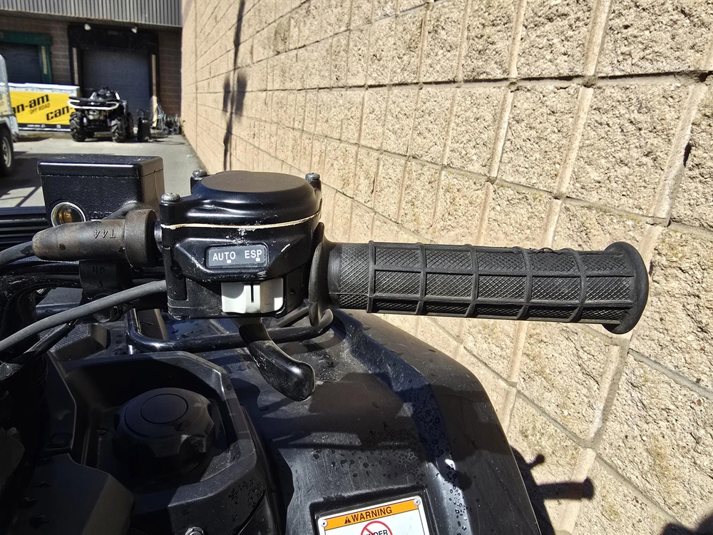 2017 Honda Rancher 420 alt