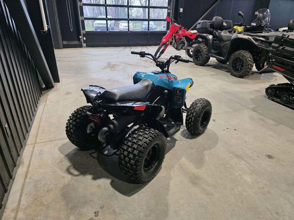 Can-am Renegade 110 Efi 2024 alt