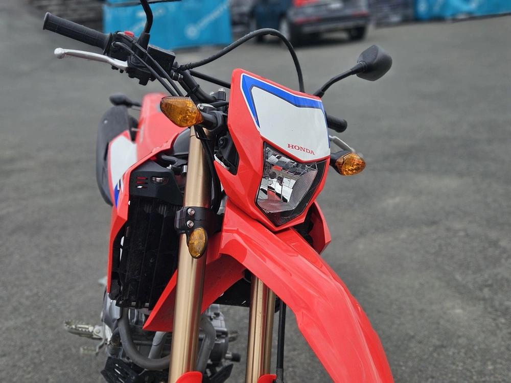 Honda Honda Crf 300l 2022 alt