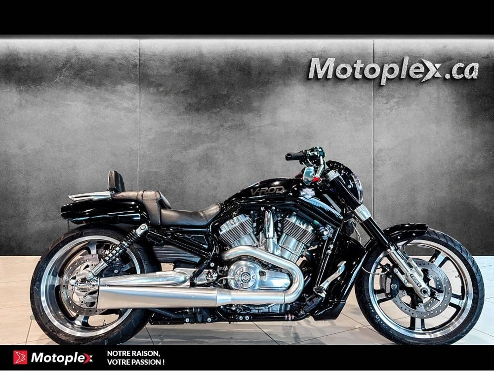 2011 Harley-davidson Vrod Muscle Vrscf alt