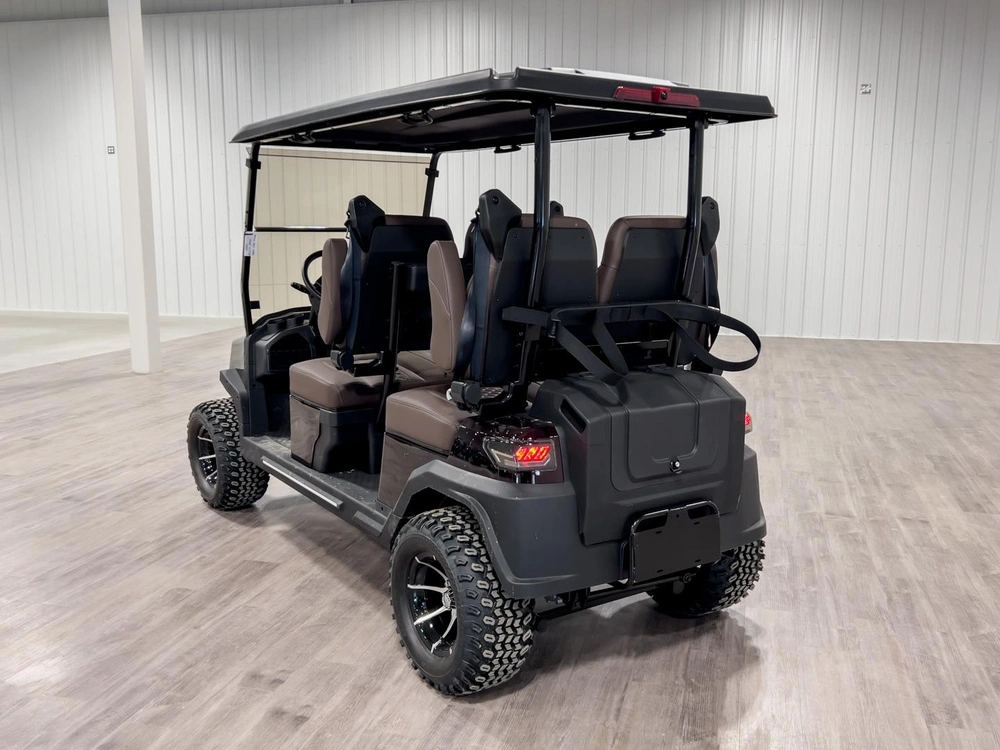 2025 Buzz G4 Lifted alt