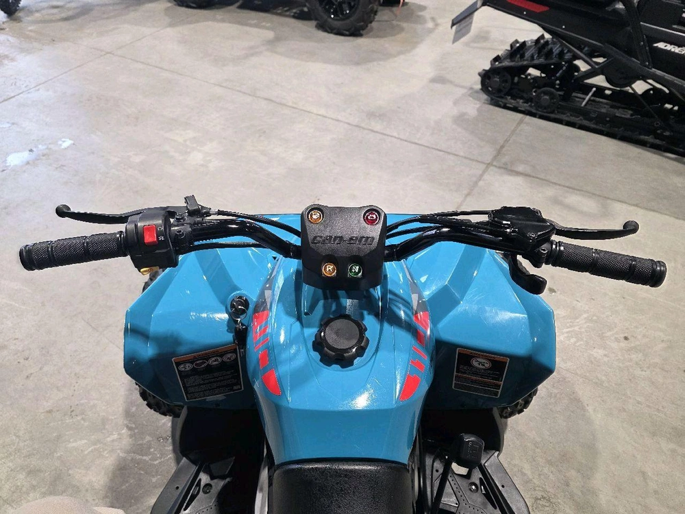 Can-am Renegade 110 Efi 2024 alt