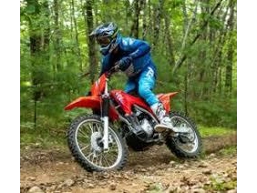 Honda Crf300 F 2026 alt