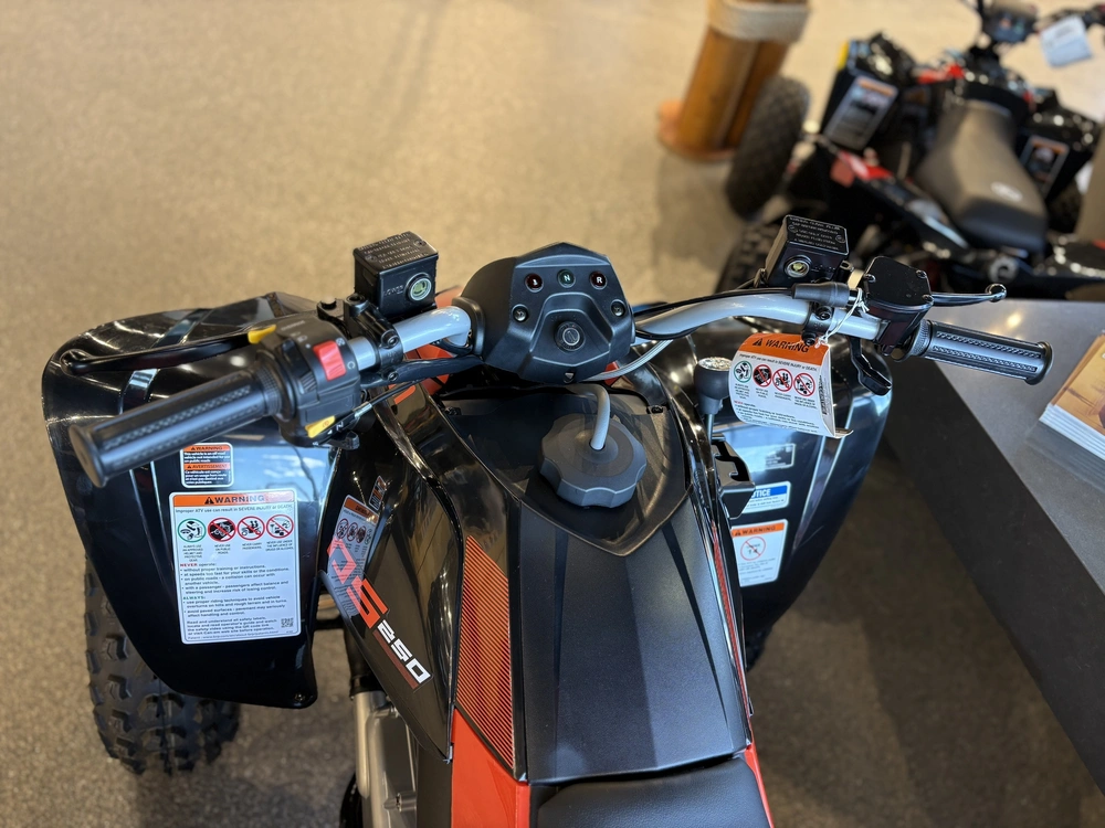 2026 Can-am Ds 250 -3jta alt