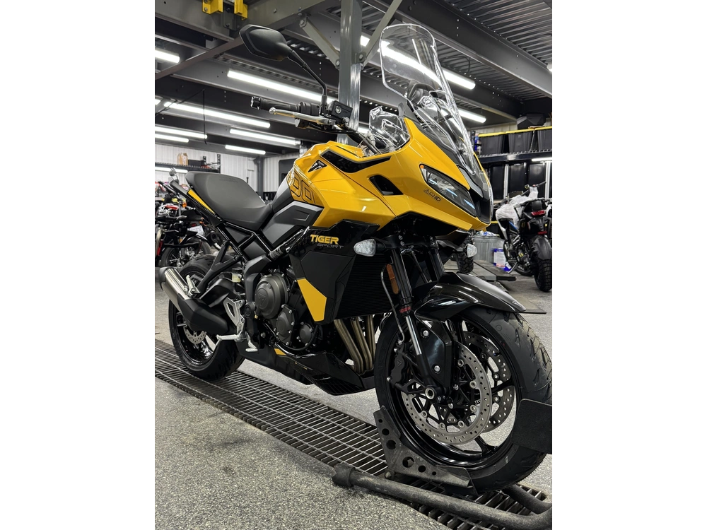 Triumph Tiger Sport 800 2026 alt