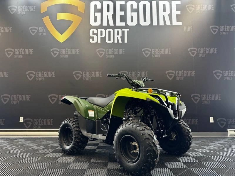Yamaha Grizzly 110 2026 alt