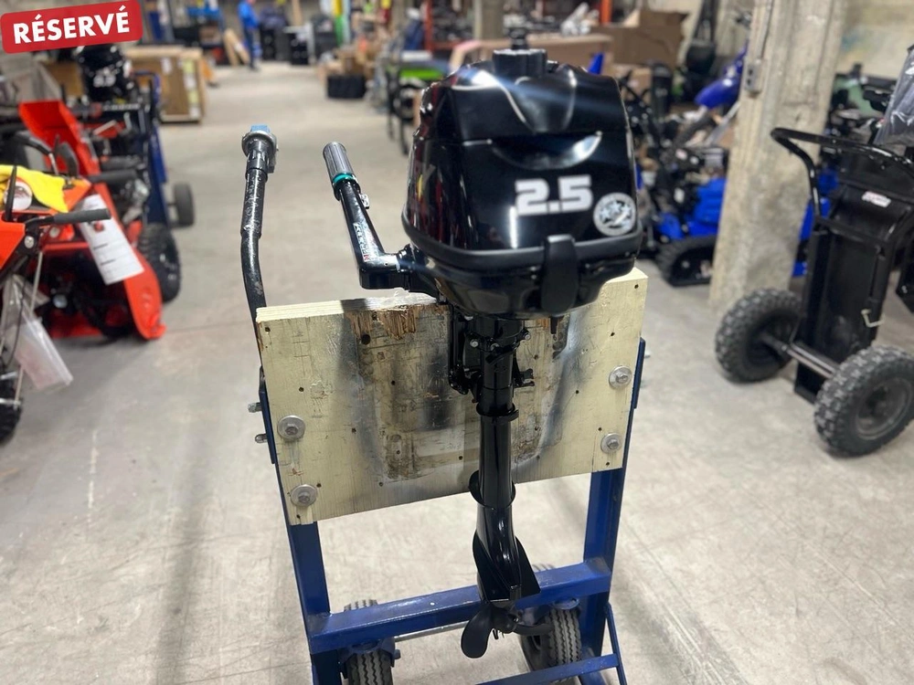 2024 Mercury 2.5 Hp alt