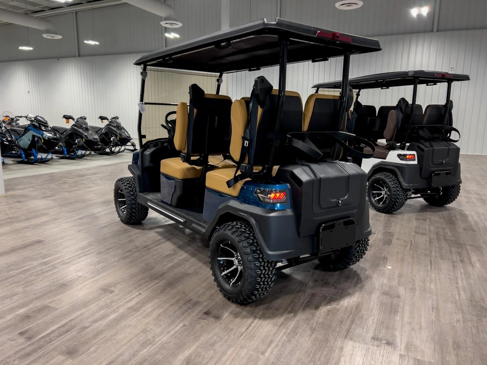 2025 Buzz G4 Lifted alt