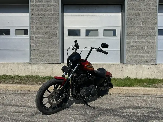 Harley-Davidson Iron 1200XL1200NS 2021