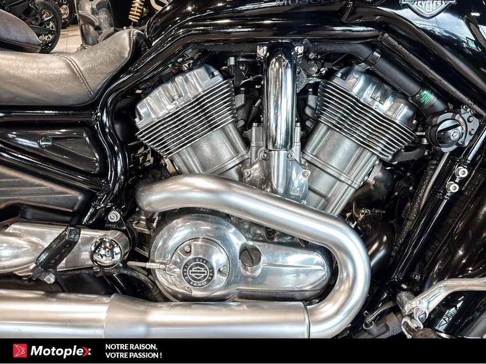 2011 Harley-davidson Vrod Muscle Vrscf alt
