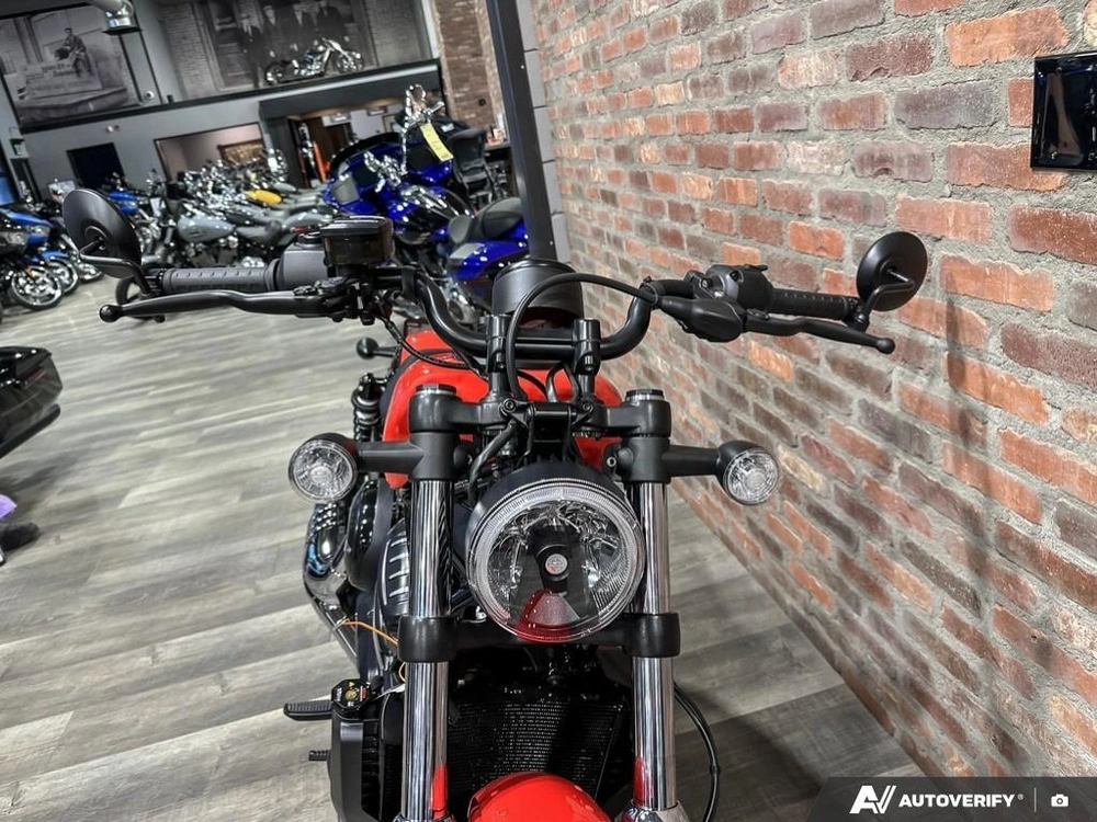 2026 Harley-davidson Nightster alt