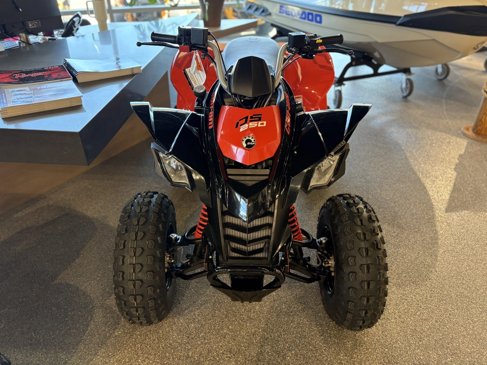 2026 Can-am Ds 250 -3jta alt