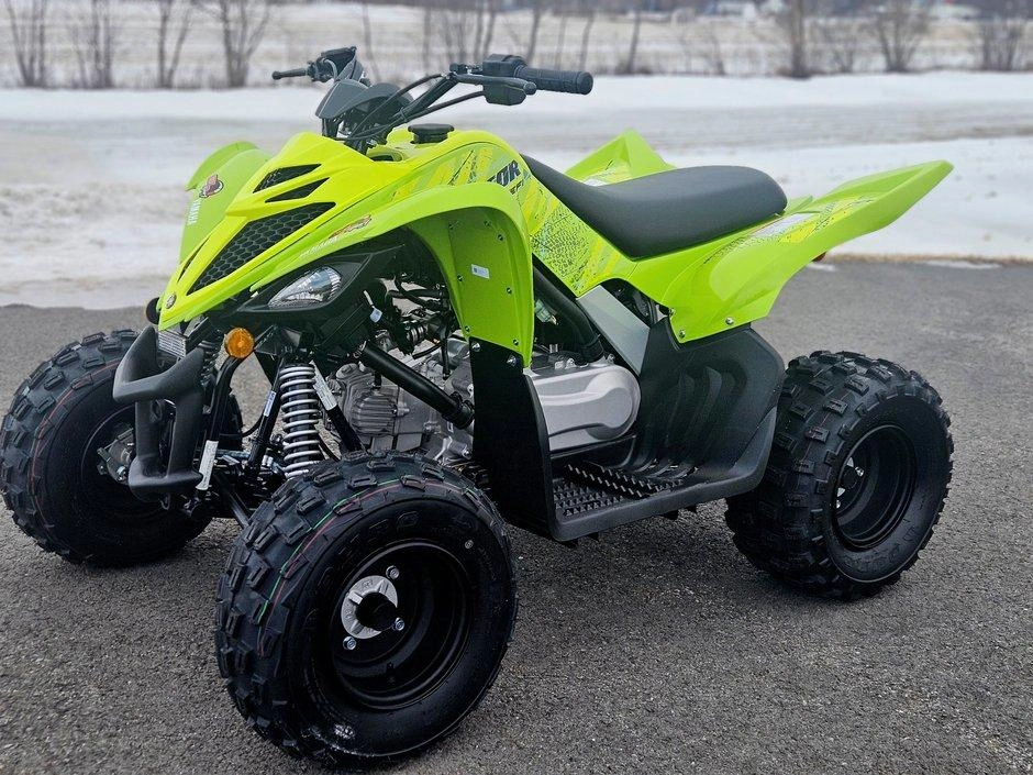Yamaha Yamaha Raptor 110 2026 alt