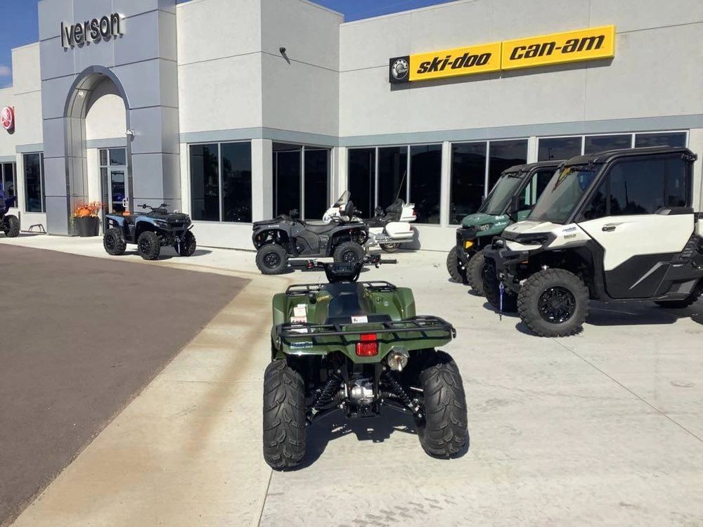 2025 Yamaha Kodiak 450 Eps alt