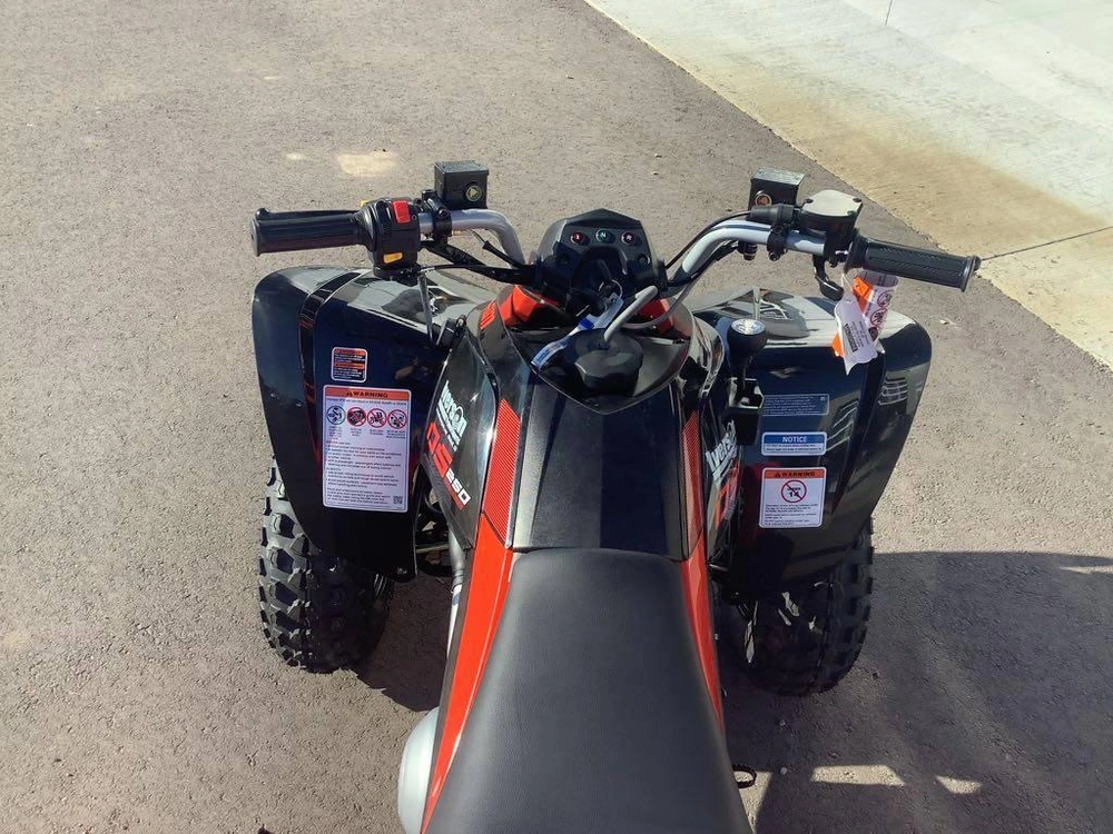 2026 Can-am Ds 250 alt