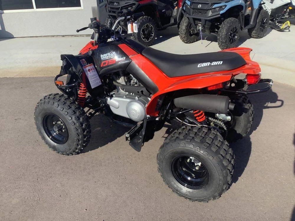 2026 Can-am Ds 250 alt