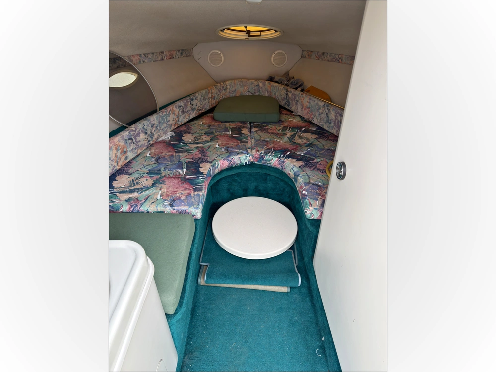 1993 Chris-craft 238 Concept alt
