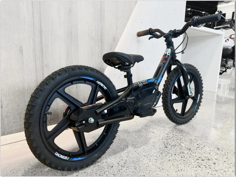 2025 Stacyc 16edrive alt
