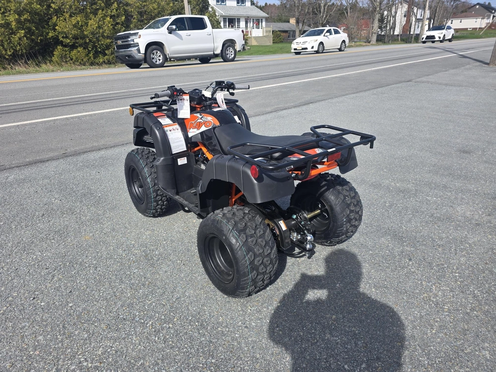 2026 Kayo Bull 150 Efi alt