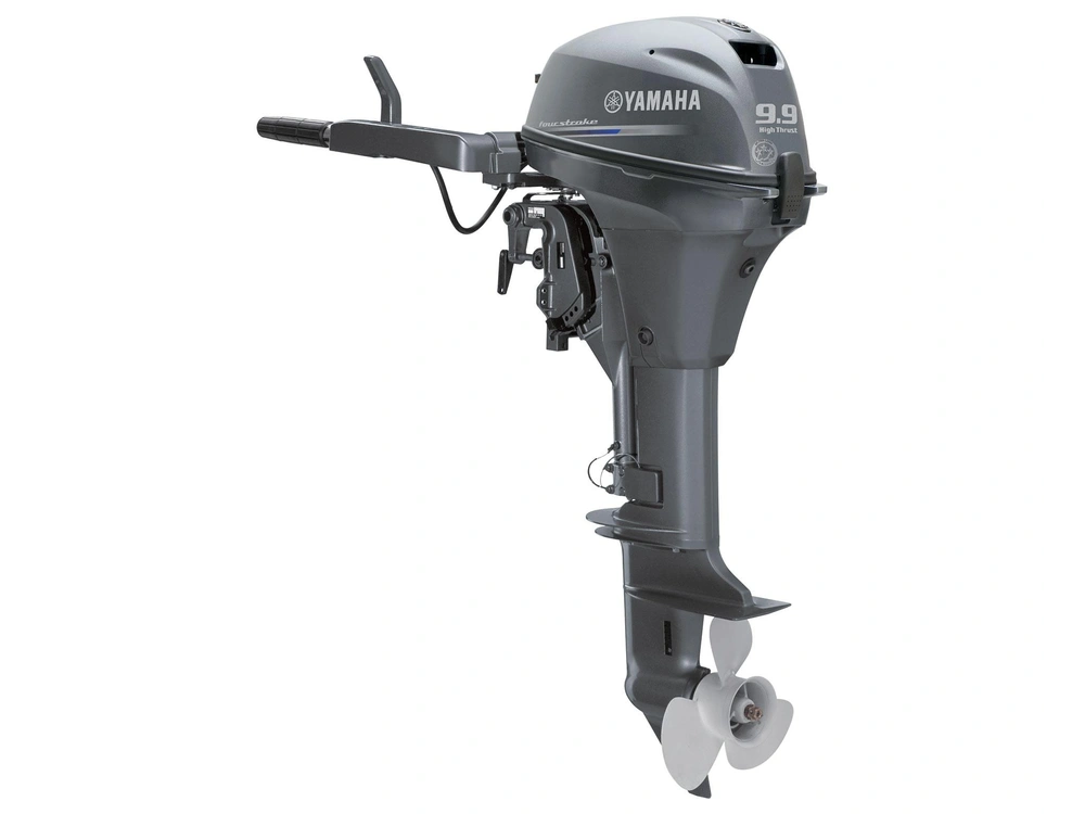2025 Yamaha T9.9 alt