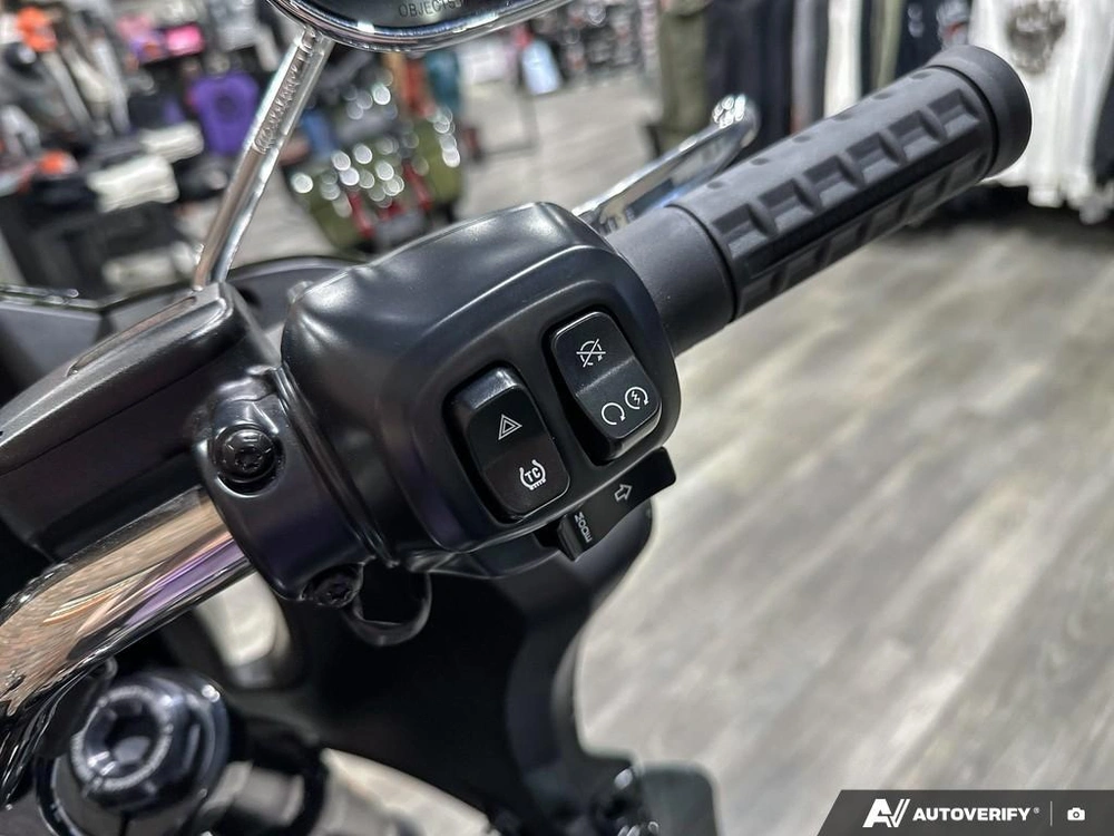 2026 Harley-davidson Low Rider St alt