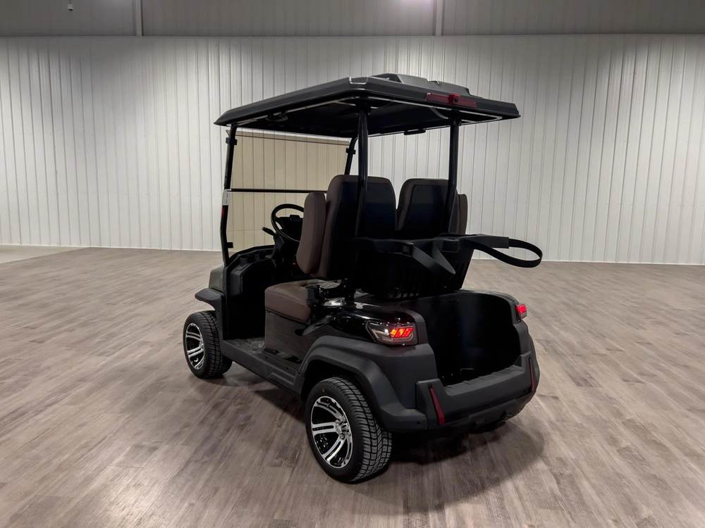 2025 Buzz G2 Standard alt