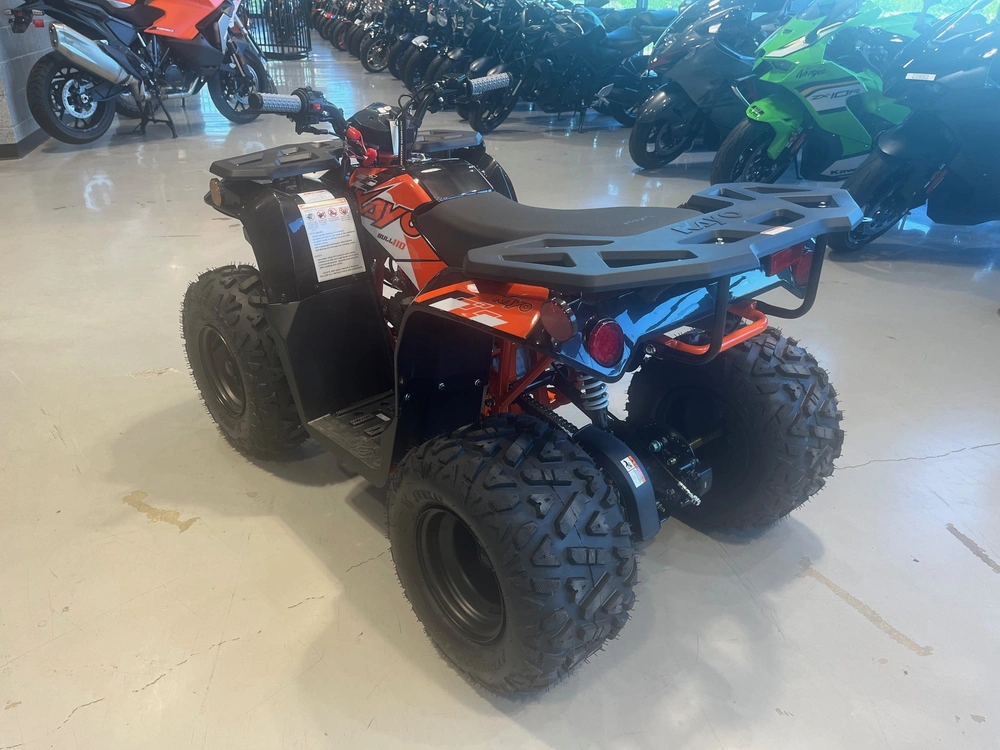 2027 Kayo Bull 110 alt