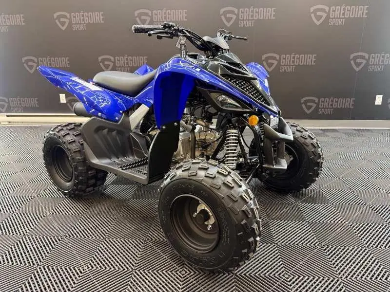 Yamaha Raptor 110 2026