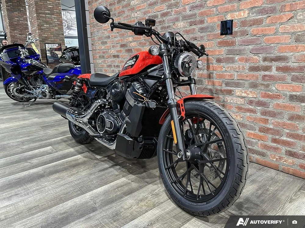 2026 Harley-davidson Nightster alt