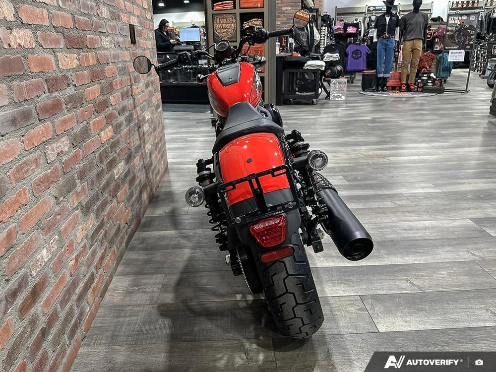 2026 Harley-davidson Nightster alt