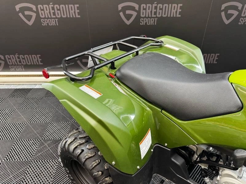 Yamaha Grizzly 110 2026 alt