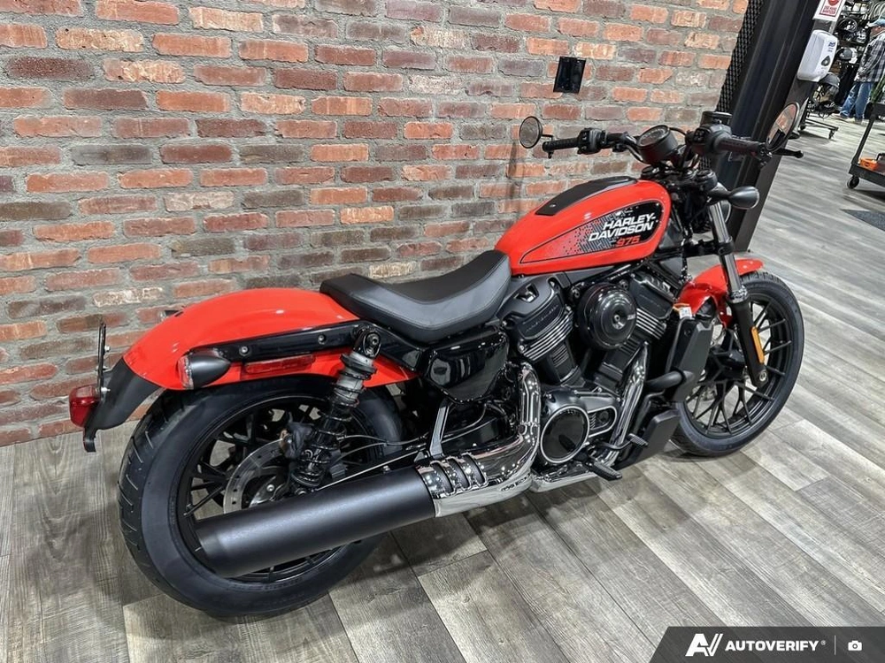 2026 Harley-davidson Nightster alt