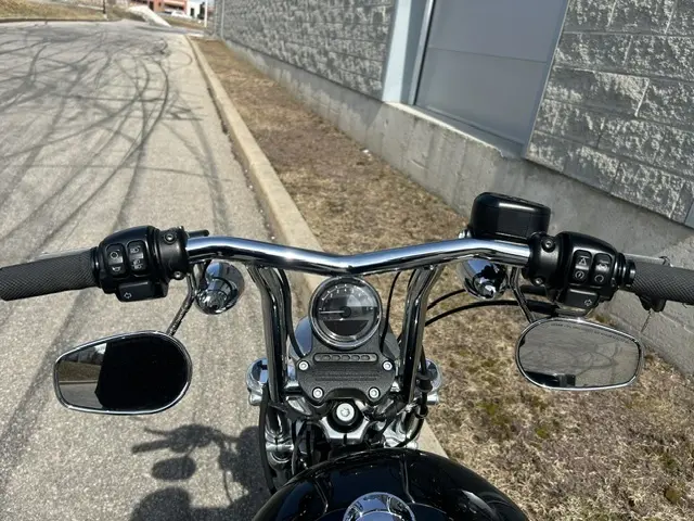 Harley-Davidson Sportster 883 Iron Iron 883 2017