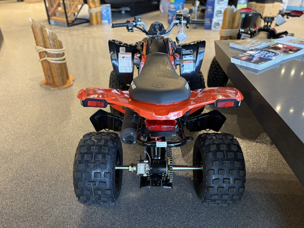 2026 Can-am Ds 250 -3jta alt