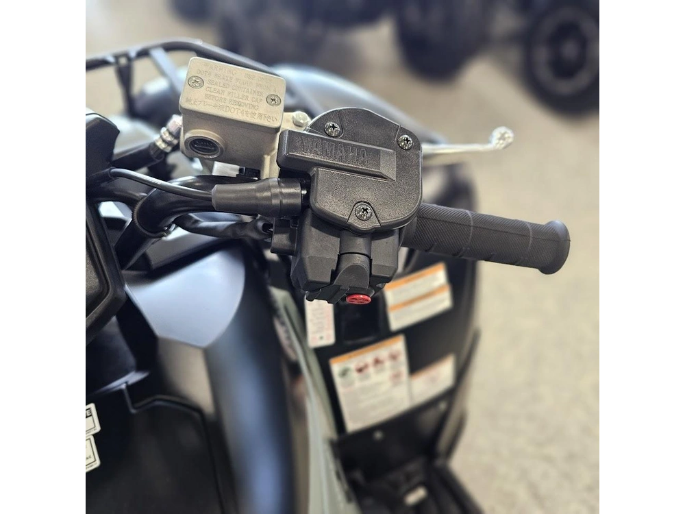 2026 Yamaha Grizzly Eps Xt-r alt