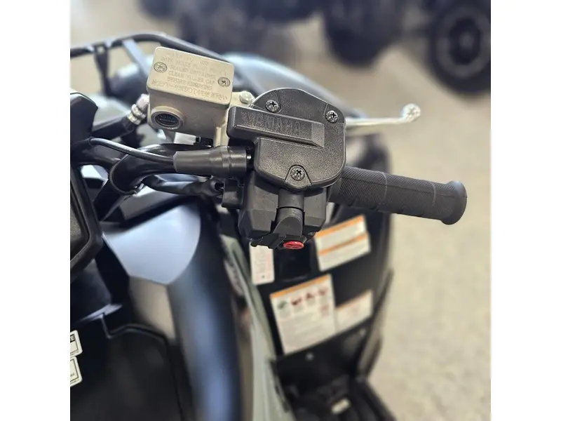 2026 Yamaha GRIZZLY EPS XT-R thumbnail 18