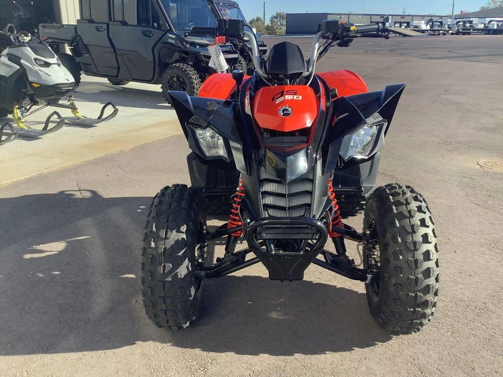 2026 Can-am Ds 250 alt