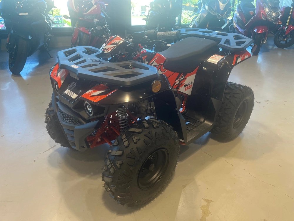 2027 Kayo Bull 110 alt