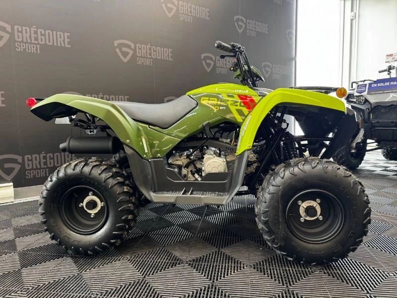Yamaha Grizzly 110 2026 alt