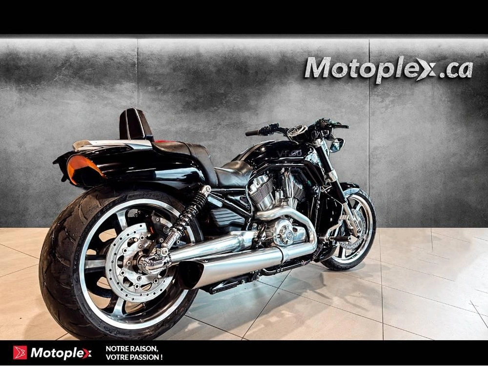 2011 Harley-davidson Vrod Muscle Vrscf alt