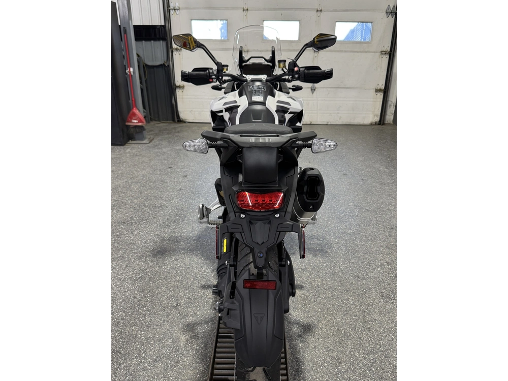 Triumph Tiger 1200 Alpine Ed 2026 alt