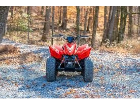 Honda Trx90x 2026 alt