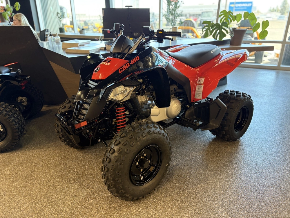 2026 Can-am Ds 250 -3jta alt