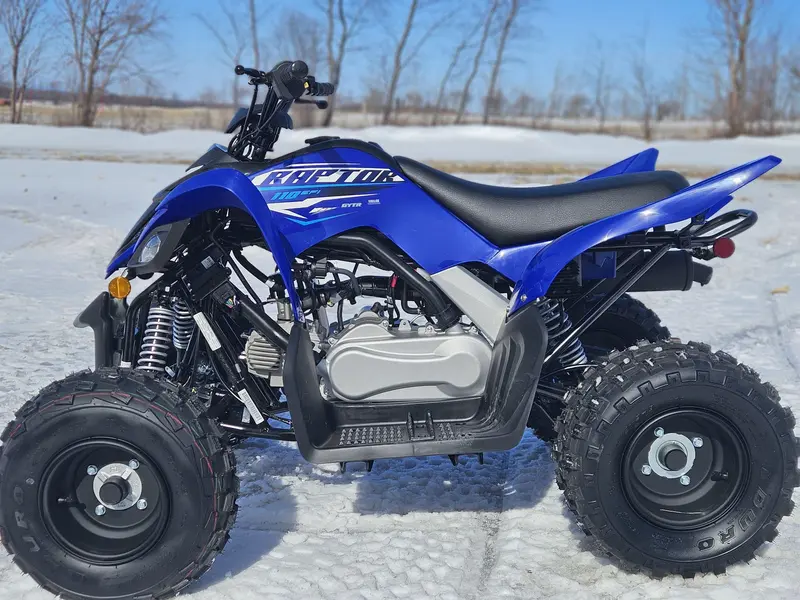 Yamaha Yamaha RAPTOR 110 0